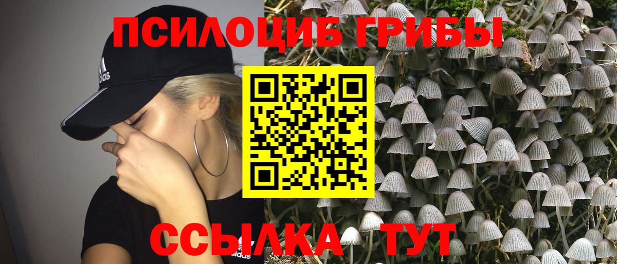Псилоцибиновые грибы мухоморы  Псилоцибиновые грибы MAGIC MUSHROOMS  Вход с VPN  Грязи 