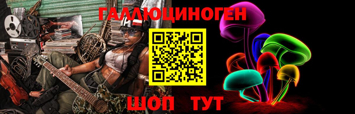 Галлюциногенные грибы Magic Shrooms  Псилоцибиновые грибы GOLDEN TEACHER  где продают   Грязи 