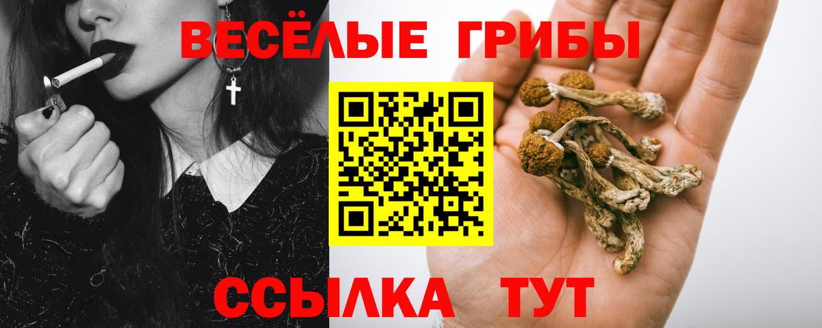 Псилоцибиновые грибы мицелий Грязи